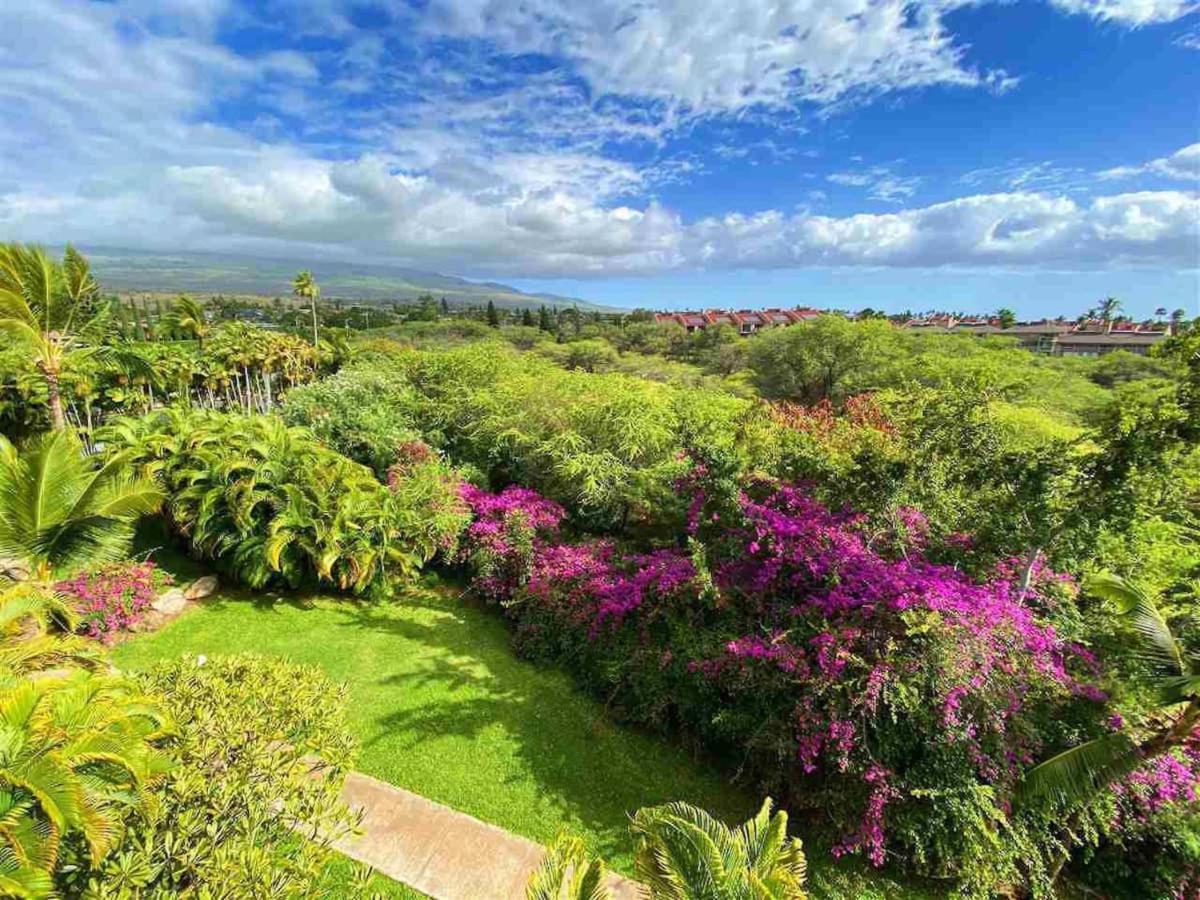 Penthouse 1 Bd King Suite With Ocean Views! 维雷亚 外观 照片